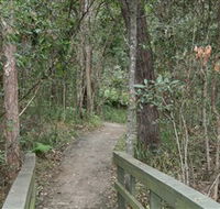 Springwood Conservation Park - VIC Tourism