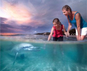Bulwer QLD VIC Tourism