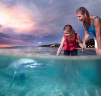 Tangalooma Island Resort - VIC Tourism
