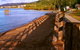 Cannonvale Beach - thumb 0