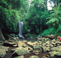 Tamborine National Park - VIC Tourism