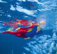 Outer Rocks Dive Site - VIC Tourism