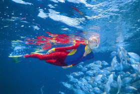Outer Rocks Dive Site - VIC Tourism 0