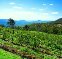 Preston Peak Wines - VIC Tourism
