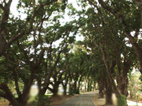Eimeo QLD VIC Tourism