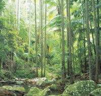 Python Rock - VIC Tourism