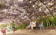 Laurel Bank Park - thumb 0