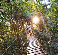 Tree Top Walkway - VIC Tourism