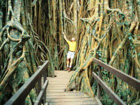 Yungaburra QLD VIC Tourism