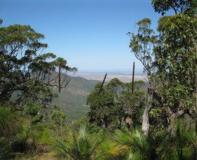 Zamia Walk - VIC Tourism 0
