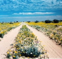 Birdsville Track - VIC Tourism