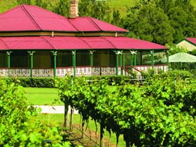 OReillys Canungra Valley Vineyards - VIC Tourism 0