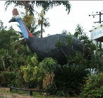 The Big Cassowary - VIC Tourism