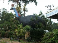 The Big Cassowary - VIC Tourism 0
