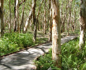 The Kommo Toera Trail - VIC Tourism 0