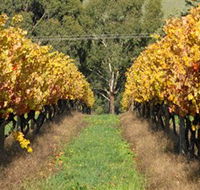 Wild Dog Winery  Restaurant - VIC Tourism
