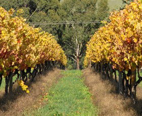 Wild Dog Winery & Restaurant - VIC Tourism 0