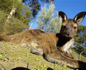 Addington VIC VIC Tourism