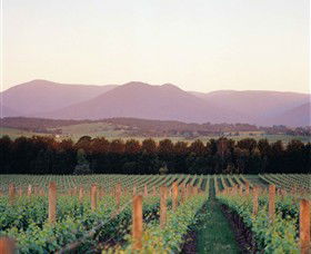 Domaine Chandon - VIC Tourism 0