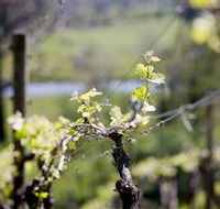 Downing Estate - VIC Tourism
