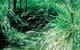 Lerderderg State Park - thumb 0