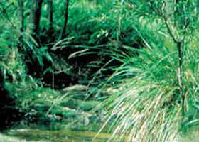 Lerderderg State Park - VIC Tourism 0