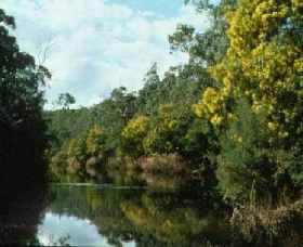 North Warrandyte VIC VIC Tourism