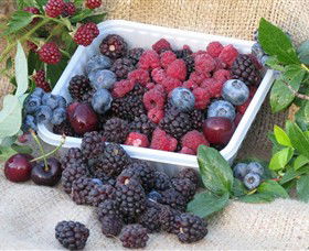 Bright Berry Farms - VIC Tourism 0