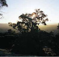 Yarra Flats - VIC Tourism