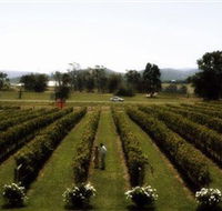 Rochford Wines - VIC Tourism