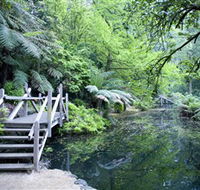 Alfred Nicholas Gardens - VIC Tourism