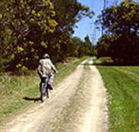 Koomba Park - VIC Tourism