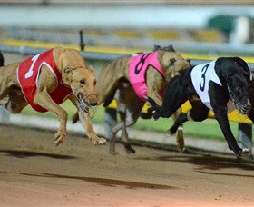 The Beckley Centre - VIC Tourism 0