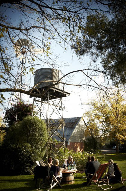 Brown Brothers Milawa Vineyard - VIC Tourism 5
