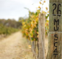 Stanton and Killeen Wines - VIC Tourism