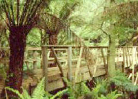 Mount Worth State Park - VIC Tourism 0
