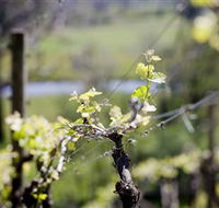 Coldstream Hills - VIC Tourism