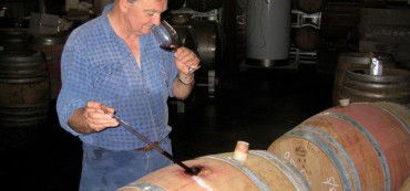 Nicholson River Winery - VIC Tourism 3