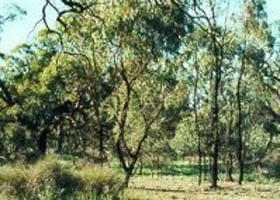 Appin South VIC VIC Tourism