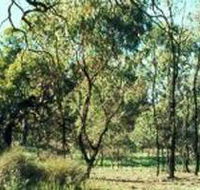 Leaghur State Park - VIC Tourism