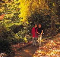 George Tindale Memorial Gardens - VIC Tourism