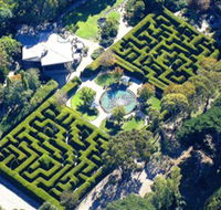 Ashcombe Maze  Lavender Gardens - VIC Tourism