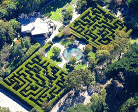 Ashcombe Maze & Lavender Gardens - VIC Tourism 0
