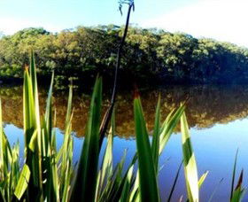 Menzies Creek VIC VIC Tourism