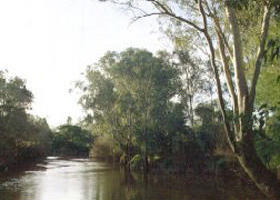Banksia Park - VIC Tourism 0