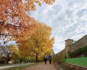 Beechworth Historic And Cultural Precinct - VIC Tourism 0