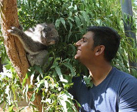Healesville Sanctuary - VIC Tourism 0