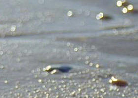 Walkerville South VIC VIC Tourism