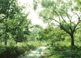 Rosedale VIC VIC Tourism
