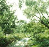 Holey Plains State Park - VIC Tourism